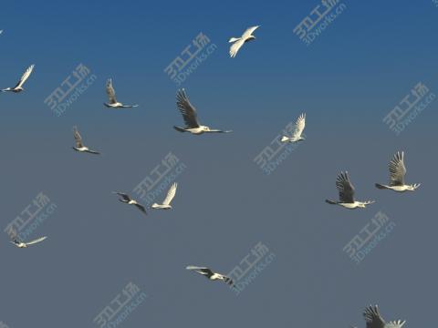 images/goods_img/2021040233/Realistic animated flying bird flock/2.jpg